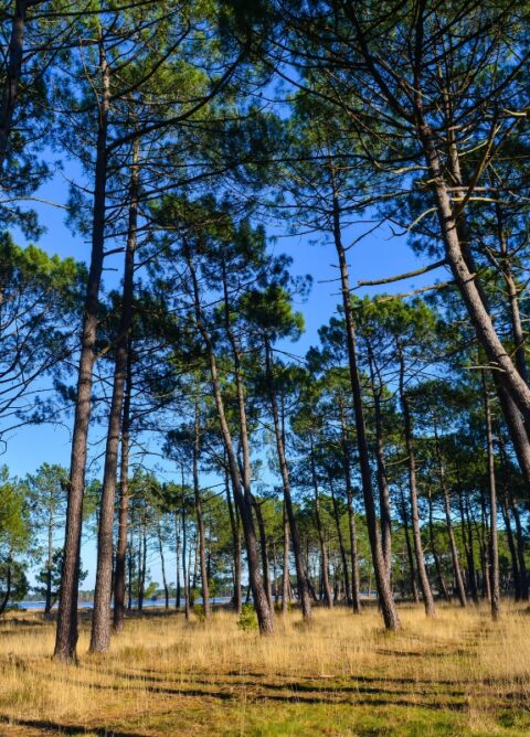 La Convention des Entreprises pour le Climat – Parcours Nouvelle-Aquitaine